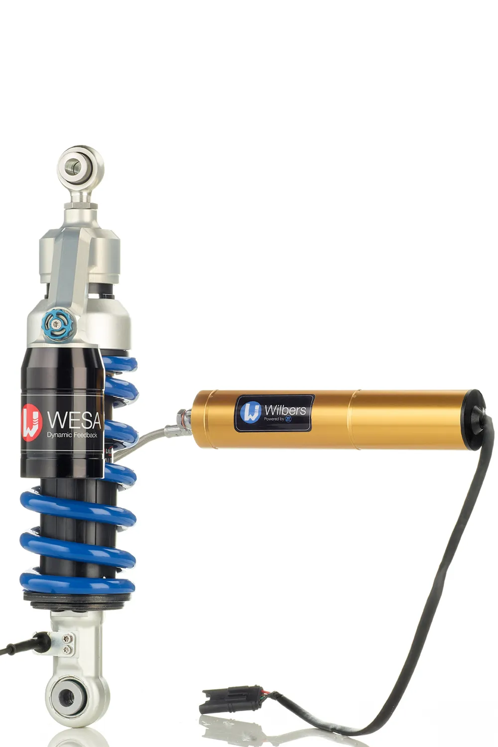 WI 644 WESA Federbein BMW F900R