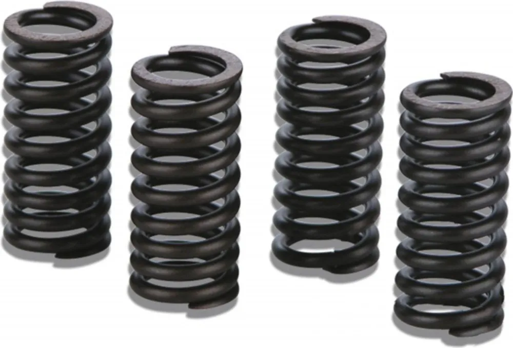 Ventil Federn Satz Malossi