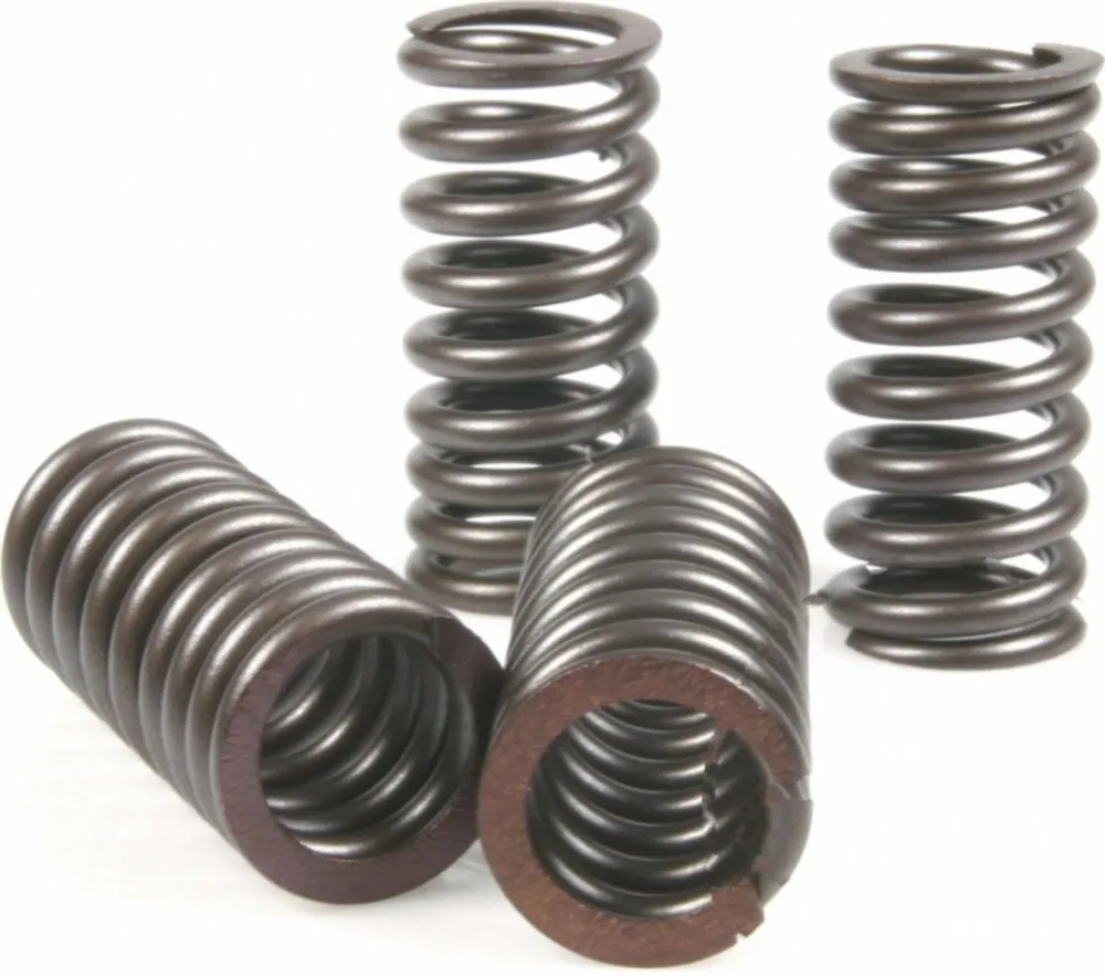 Ventil Federn Satz Malossi 2912834