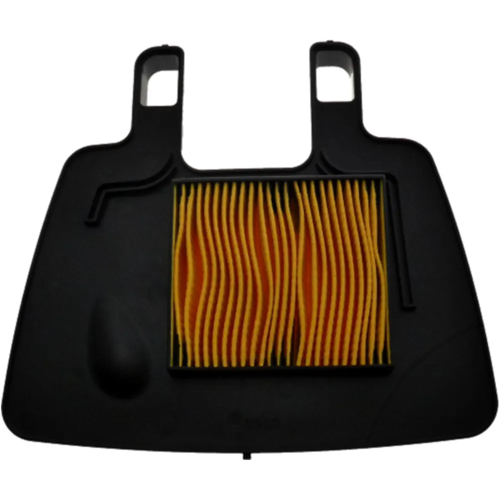 Air filter (orig spare part) 1378009G50000