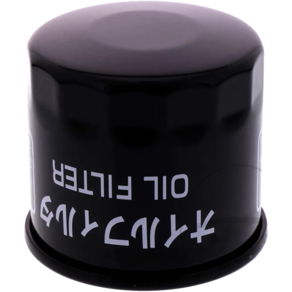 Oil filter (orig spare part) 160970012