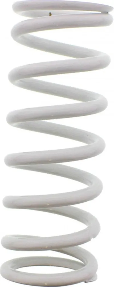 Stossdämpfer Dämpfer Feder Federbein JMP 5921545