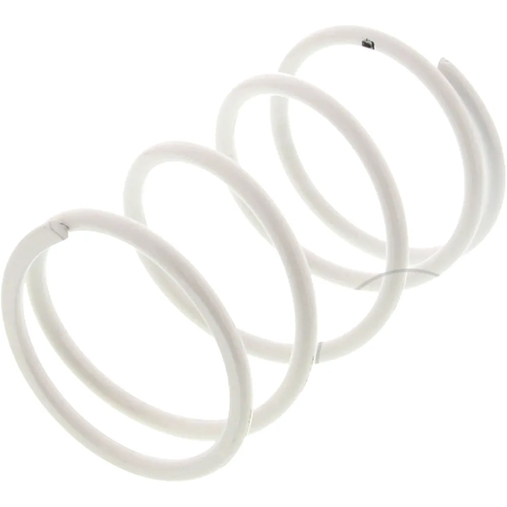 Variator spring 2913316W0