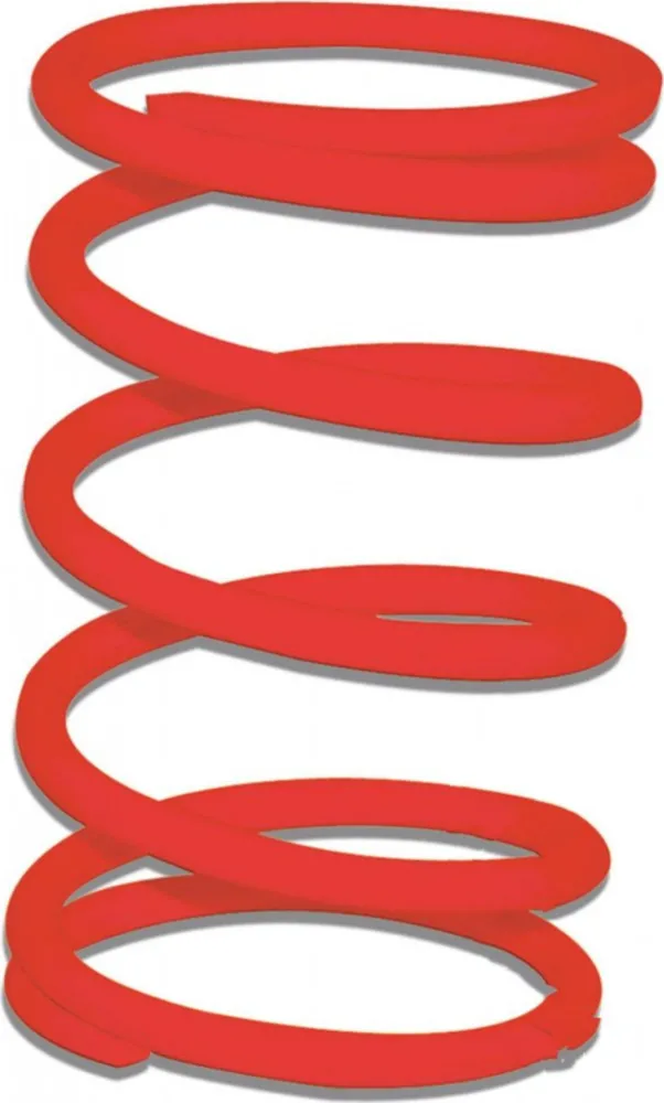 Thrust Spring 2916498R0