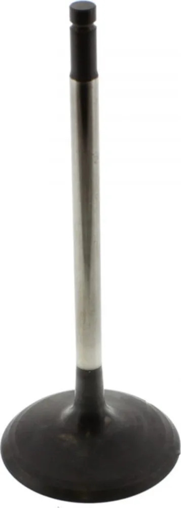 Einlassventil 111231