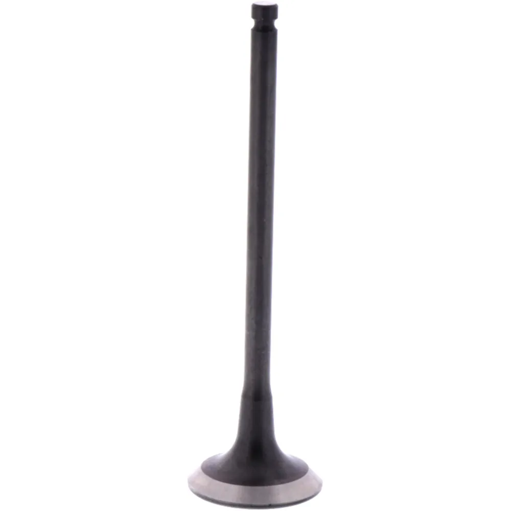 Outlet valve (orig spare part) 1009394