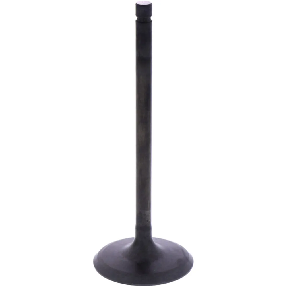 Intake valve (orig spare part) 1009395