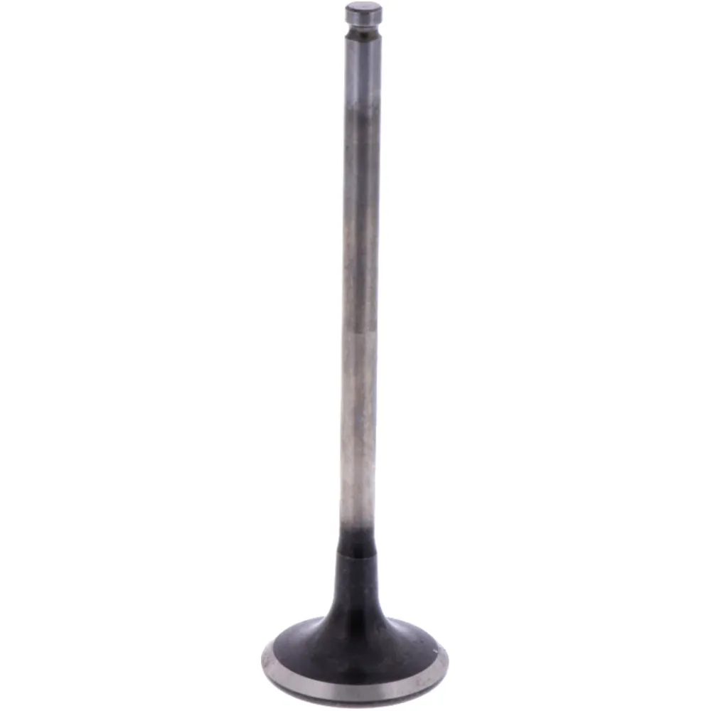 Outlet valve (orig spare part) 1009400