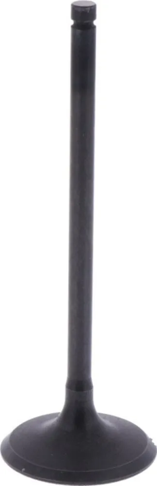 Intake valve (orig spare part) 1009404