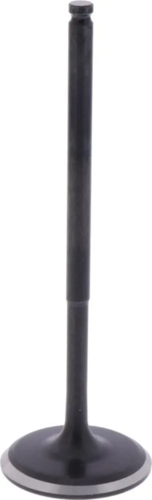 Intake valve (orig spare part) 1009405