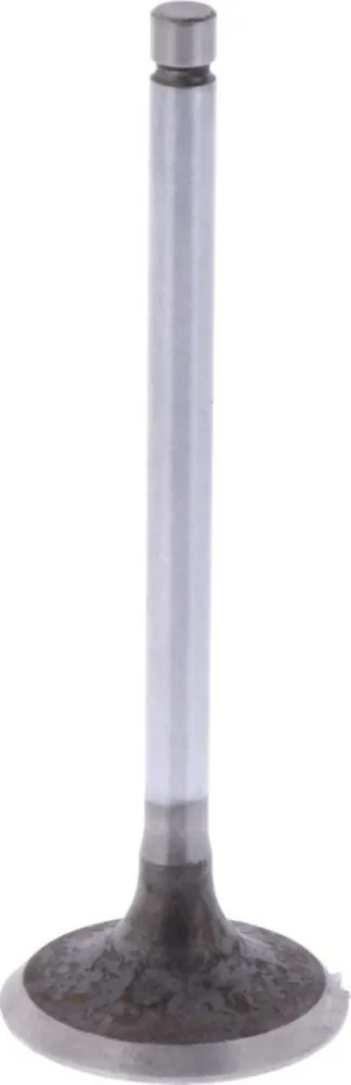 Intake valve (orig spare part) 1009407