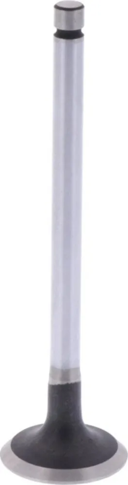 Outlet valve (orig spare part) 1009408