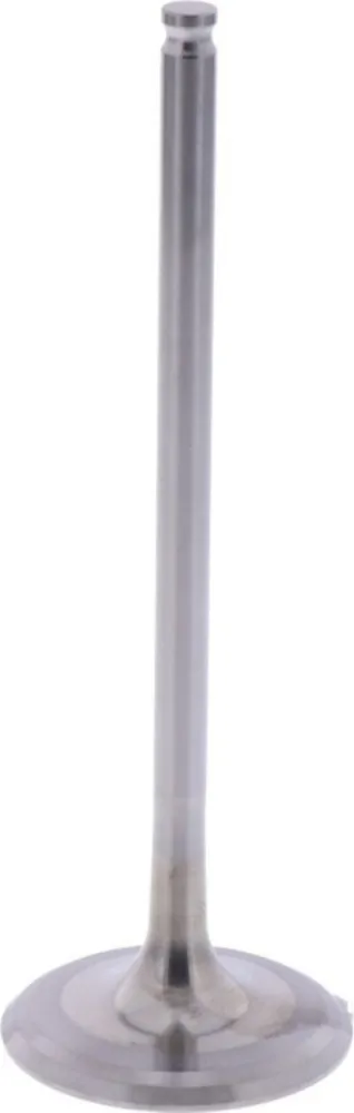 Intake valve (orig spare part) 1009420