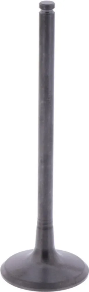 Einlassventil Originalersatzteil 1009425