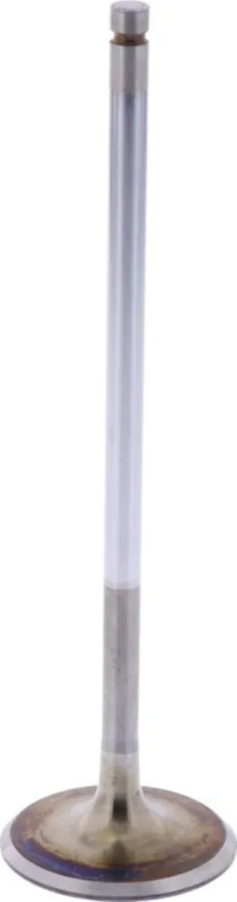 Einlassventil Originalersatzteil 1009512