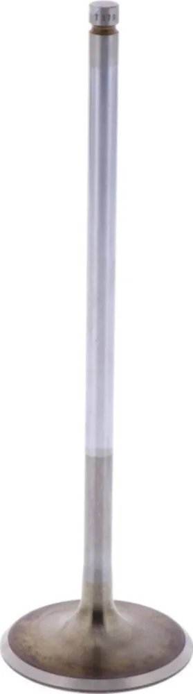 Einlassventil Originalersatzteil 1009514