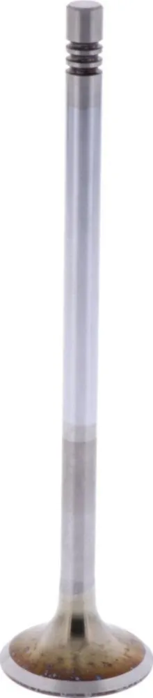 Intake valve (orig spare part) 1009518