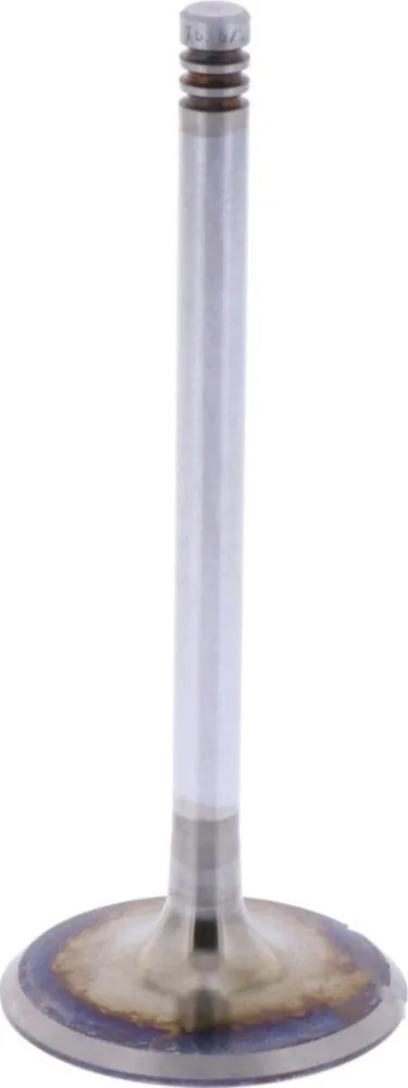 Einlassventil Originalersatzteil 1009521