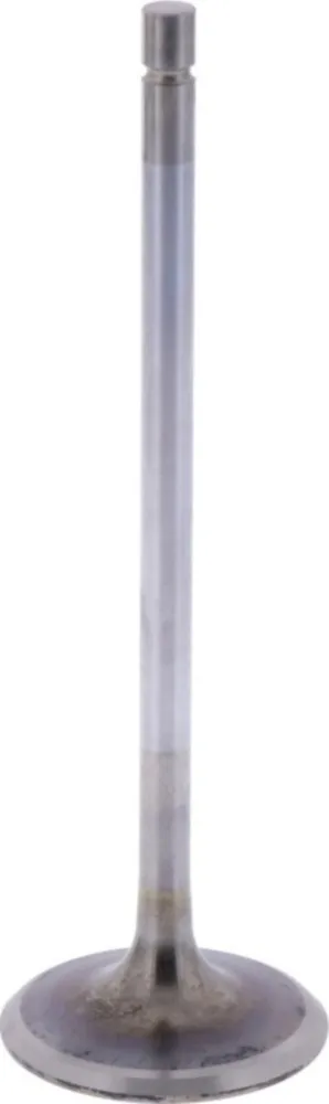 Einlassventil Originalersatzteil 1009526