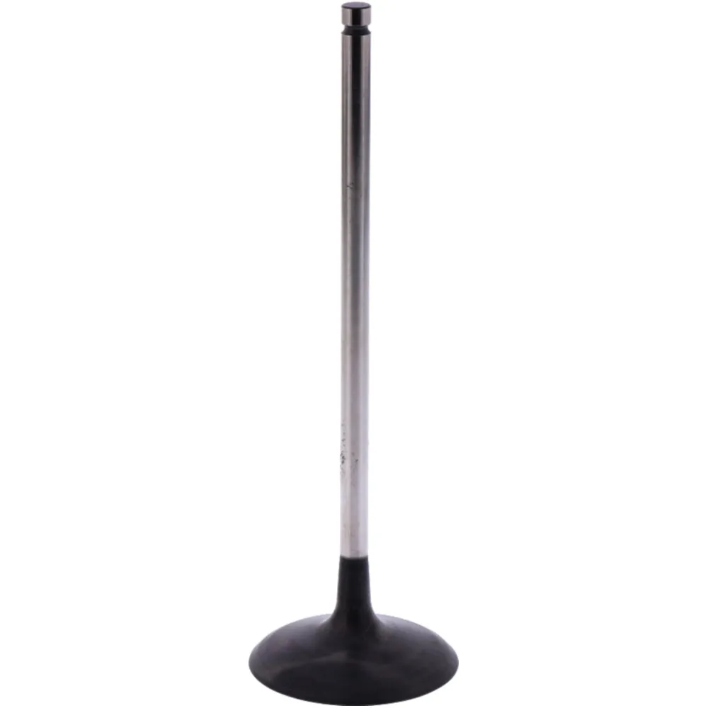 Einlassventil Originalersatzteil 1009533