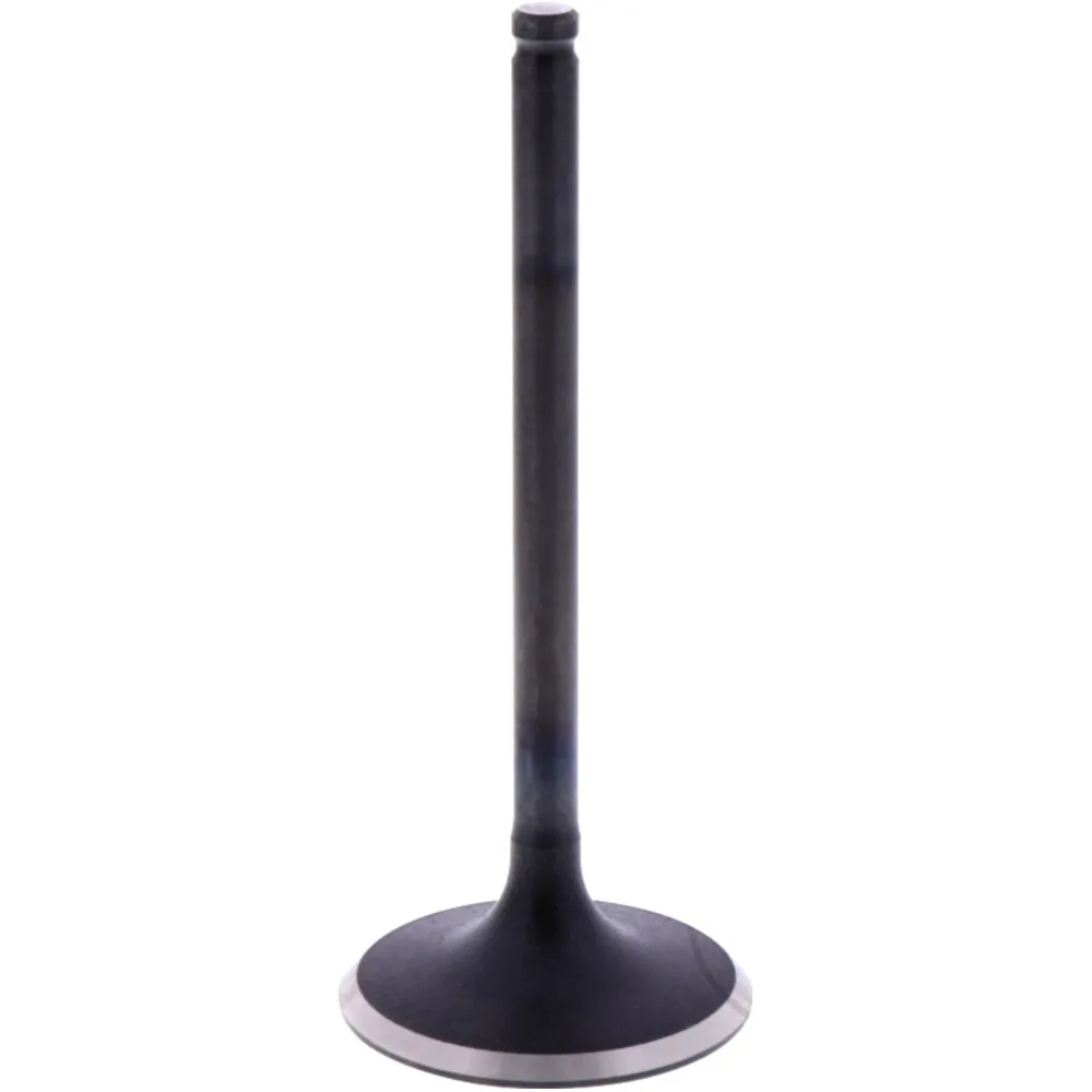 Einlassventil Originalersatzteil 1009536