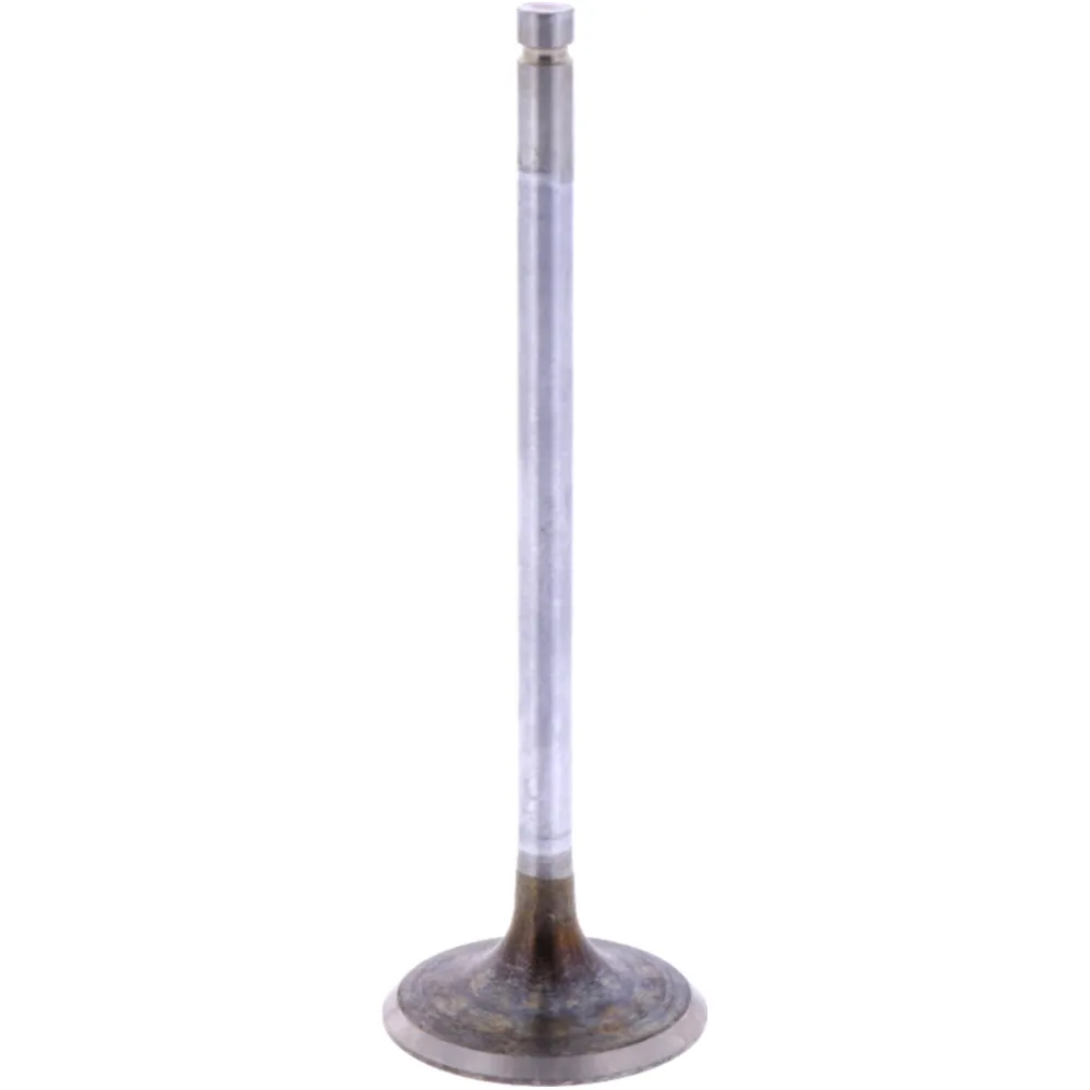 Einlassventil Originalersatzteil 1009538