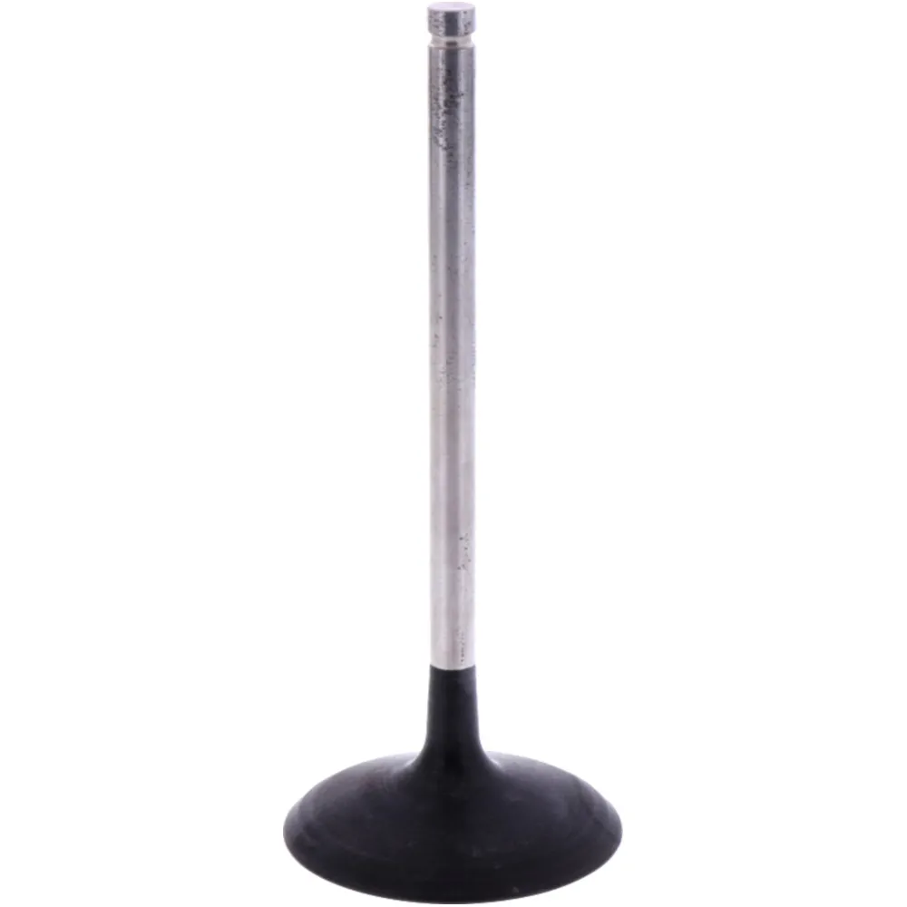 Einlassventil Originalersatzteil 1009540