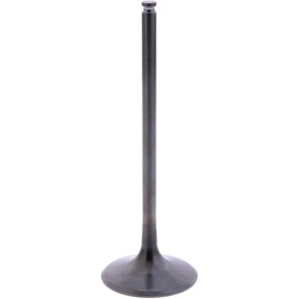 Einlassventil Originalersatzteil 1009546