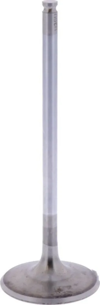 Einlassventil Originalersatzteil 1009547