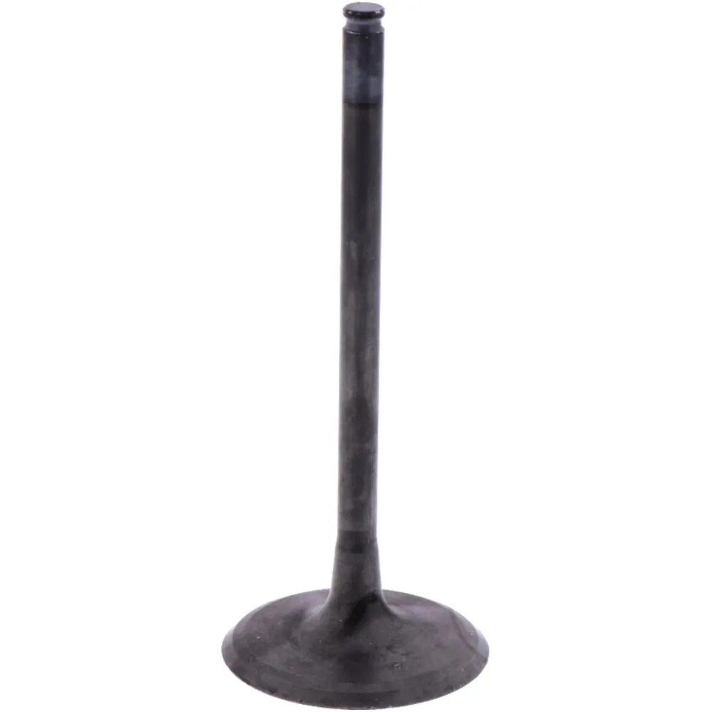 Einlassventil Originalersatzteil 1009752