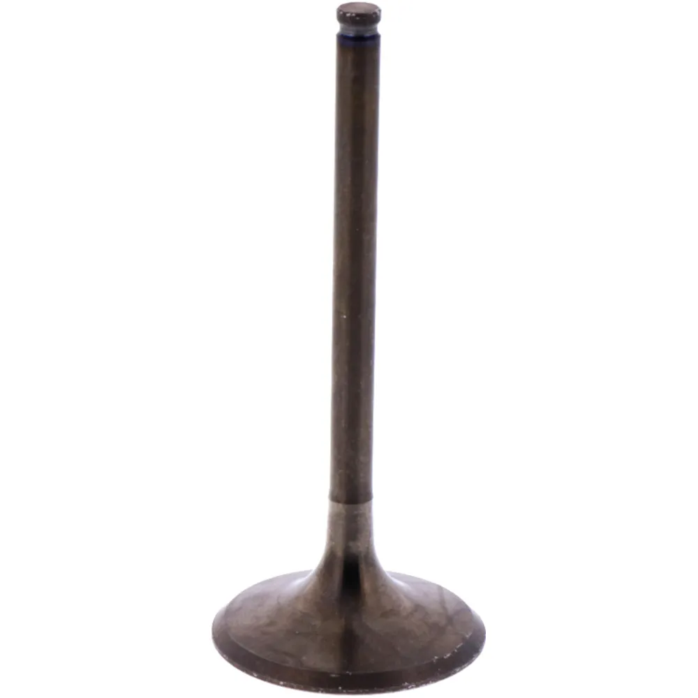 Intake valve (orig spare part) 1009755