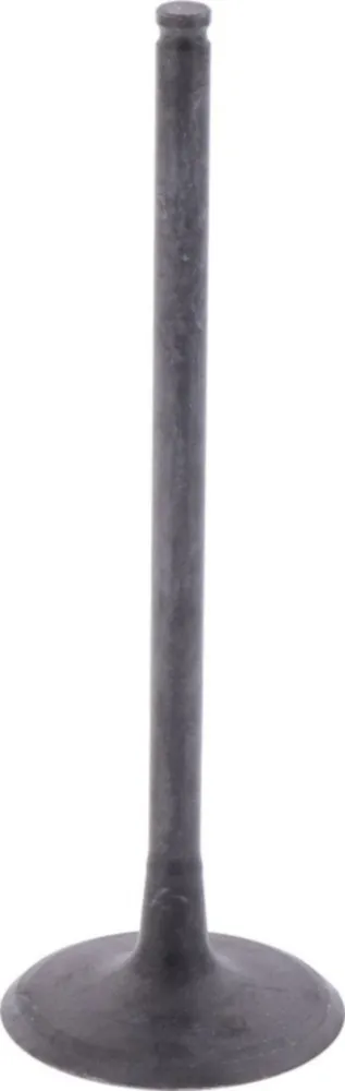 Einlassventil Originalersatzteil 1009756