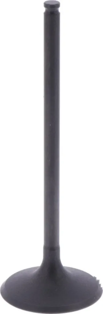 Einlassventil Originalersatzteil 1009764