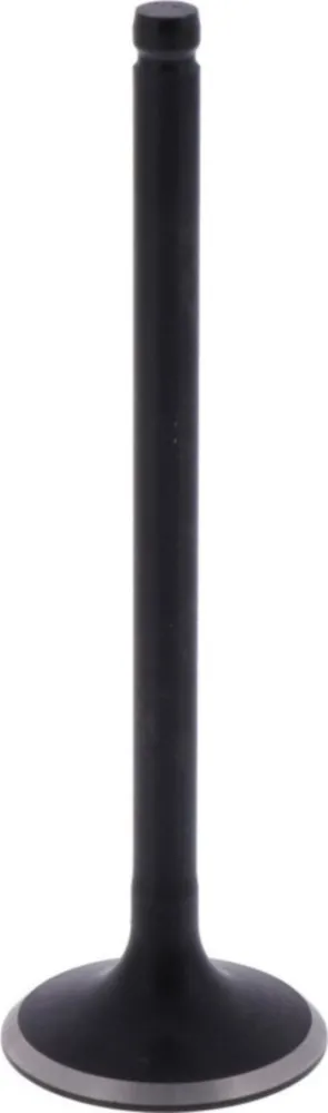 Intake valve (orig spare part) 1009766