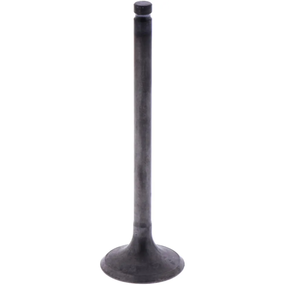 Einlassventil Originalersatzteil 1009770