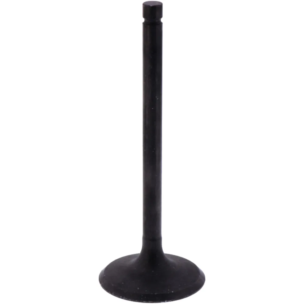 Intake valve (orig spare part) 1009771