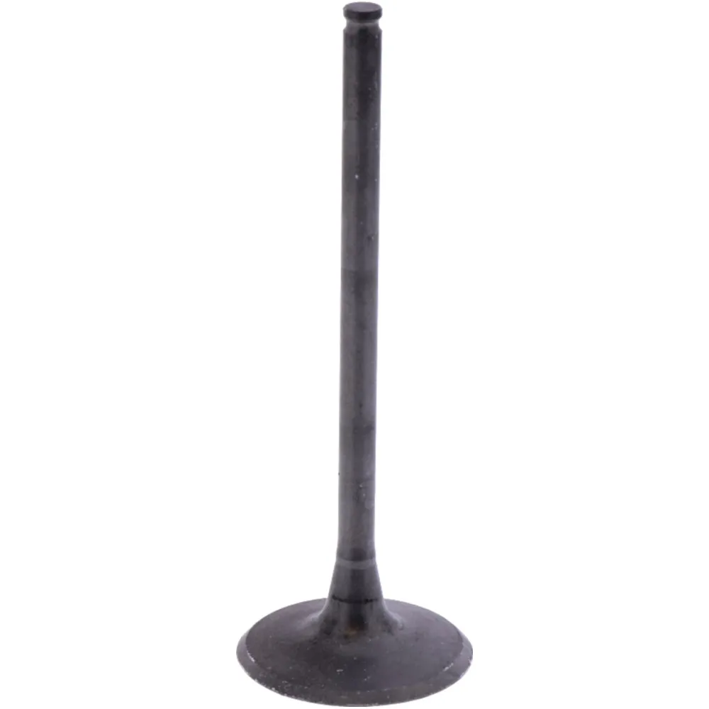 Intake valve (orig spare part) 1009774