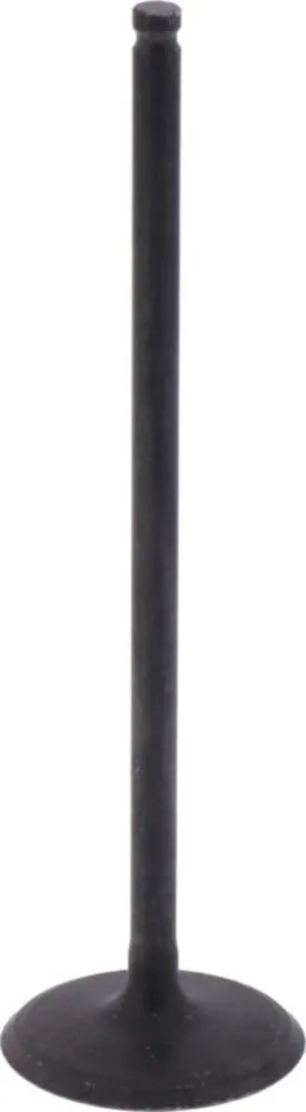 Intake valve (orig spare part) 1009776