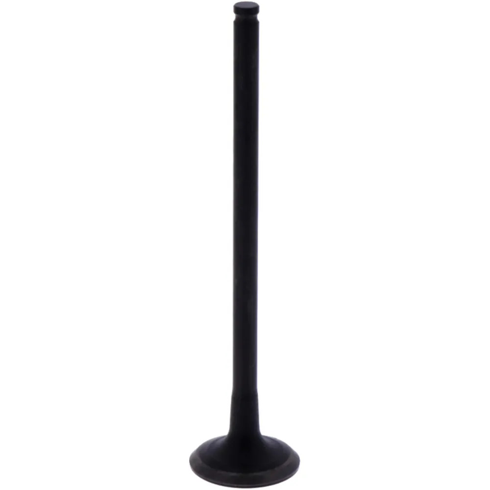 Outlet valve (orig spare part) 1009791