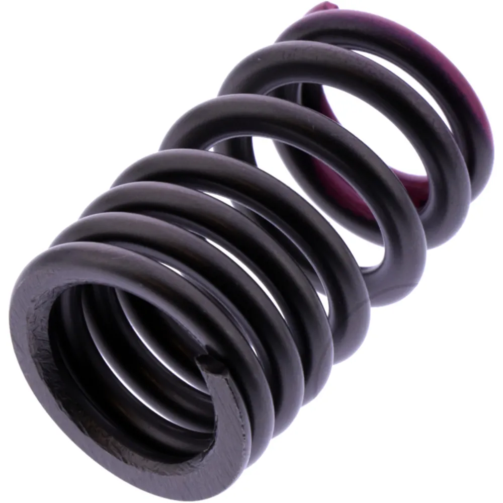 VALVE SPRING (OE SPARE PART)