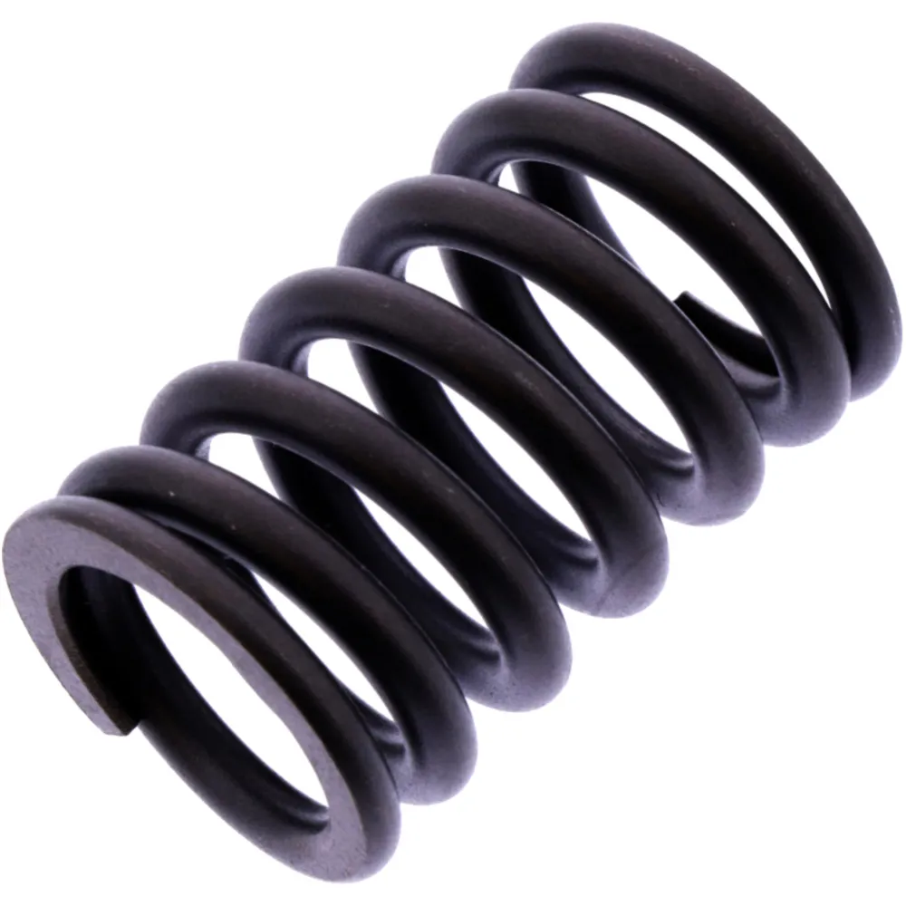 VALVE SPRING (OE SPARE PART) 2001