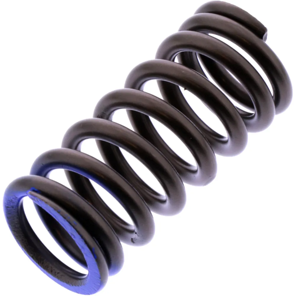 VALVE SPRING (OE SPARE PART) 2003