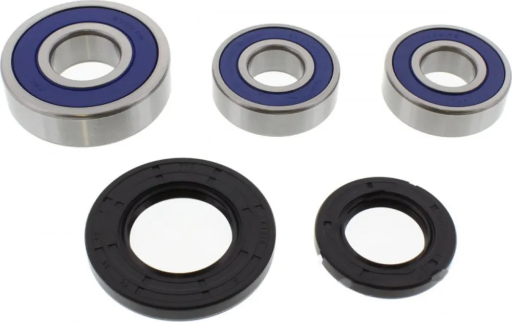 Wheel bearing and seal kit 251269
