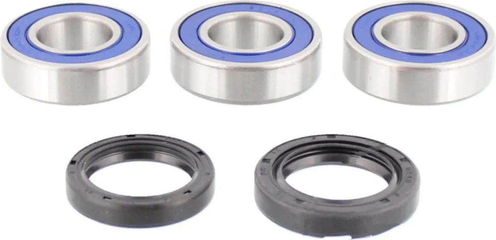 Wheel bearing and seal kit 251202