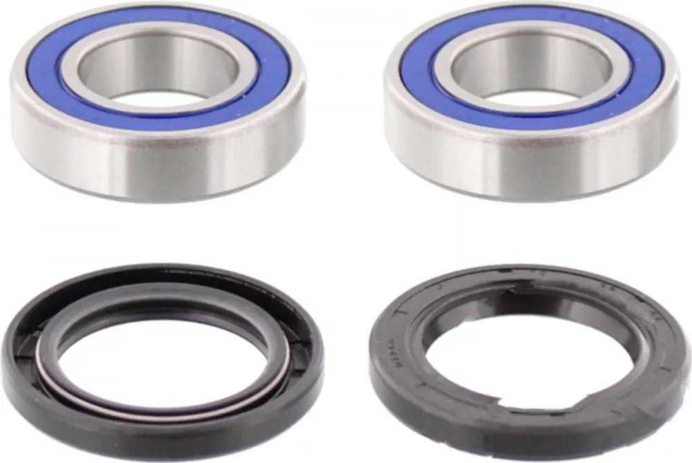 Wheel bearing and seal kit 251273