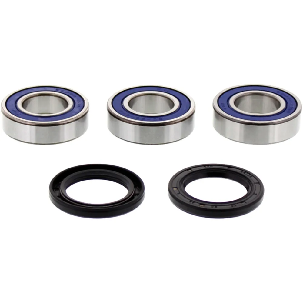 Wheel bearing and seal kit 251255