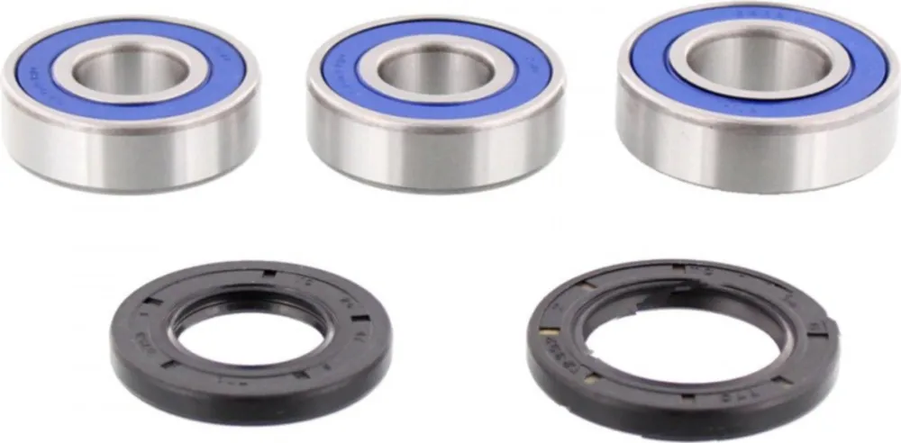 Wheel bearing and seal kit 251256
