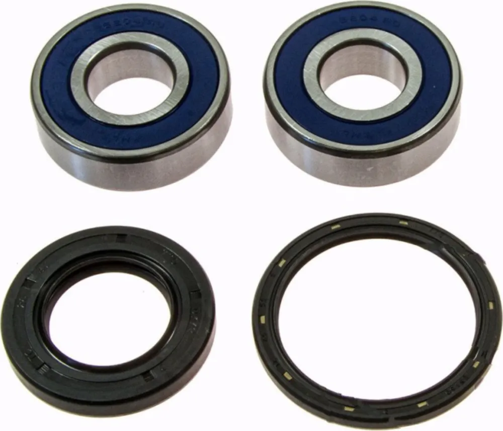 Wheel bearing and seal kit 251380
