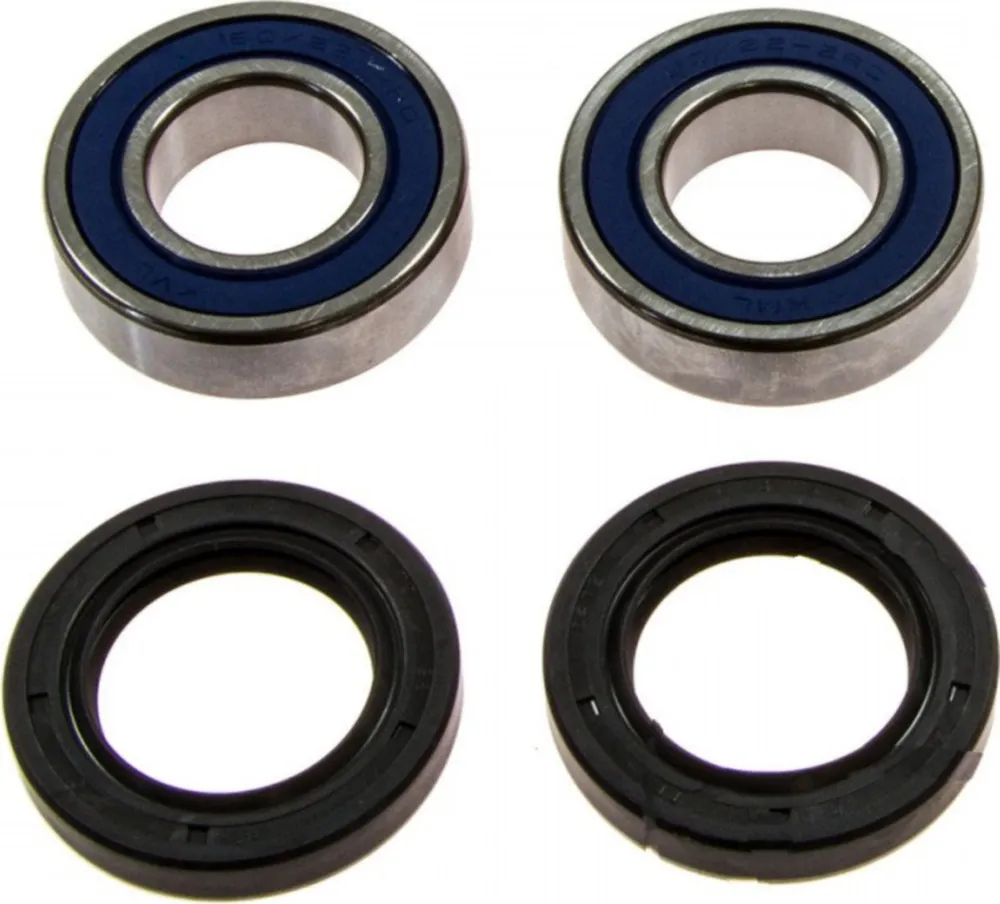 Wheel bearing and seal kit 251403