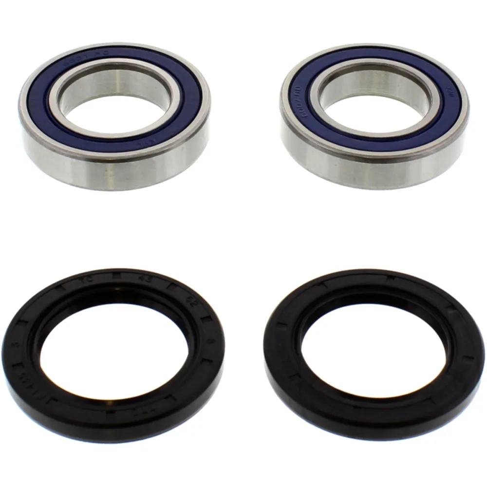 Wheel bearing and seal kit 251313